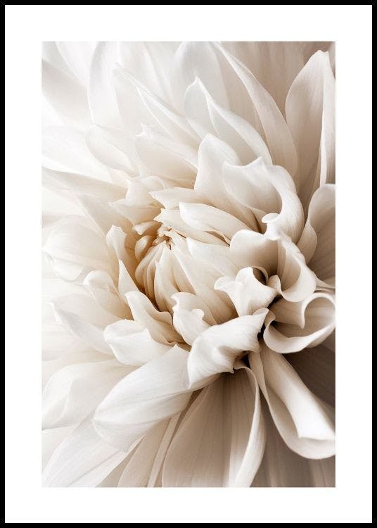 Shop Stylish Posters - Buy Prints at Poster Store