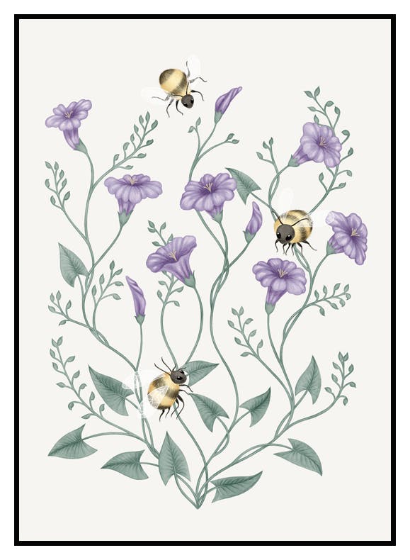 Humlor och Blommor Poster (30x40 cm) - Poster Store