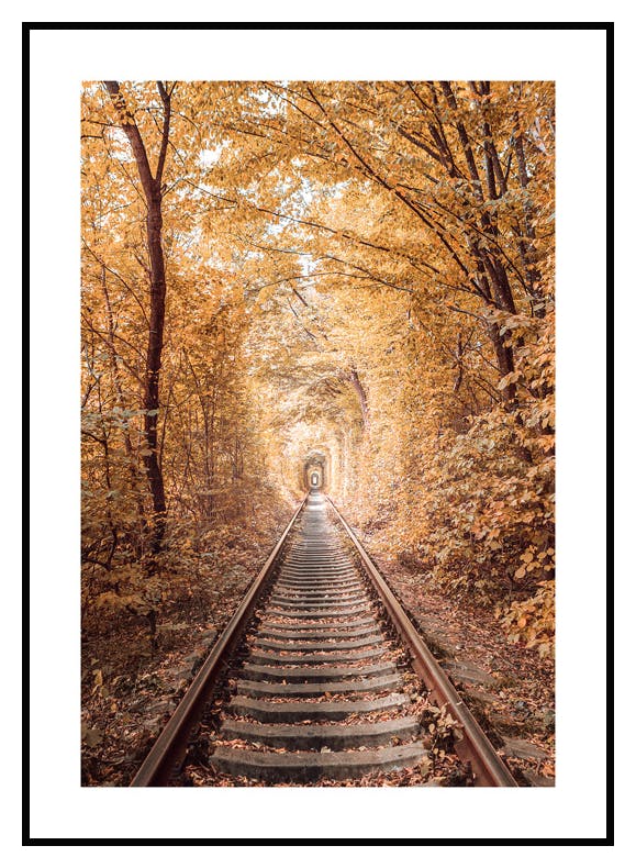 Love Tunnel Poster (21x30 cm) - Poster Store
