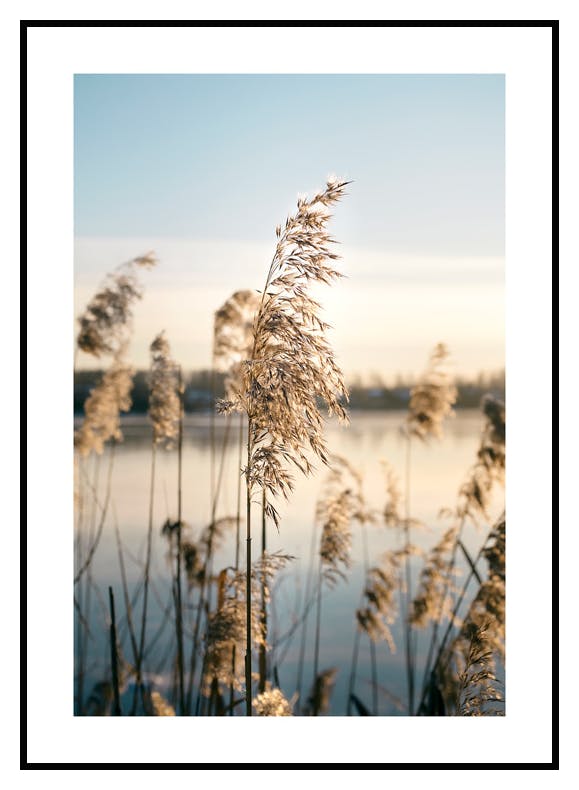 Plakat Spokojny Staw (30x40 cm) - Poster Store