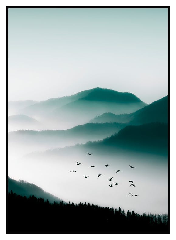 Fåglar över Bergen Poster (50x70 cm) - Poster Store