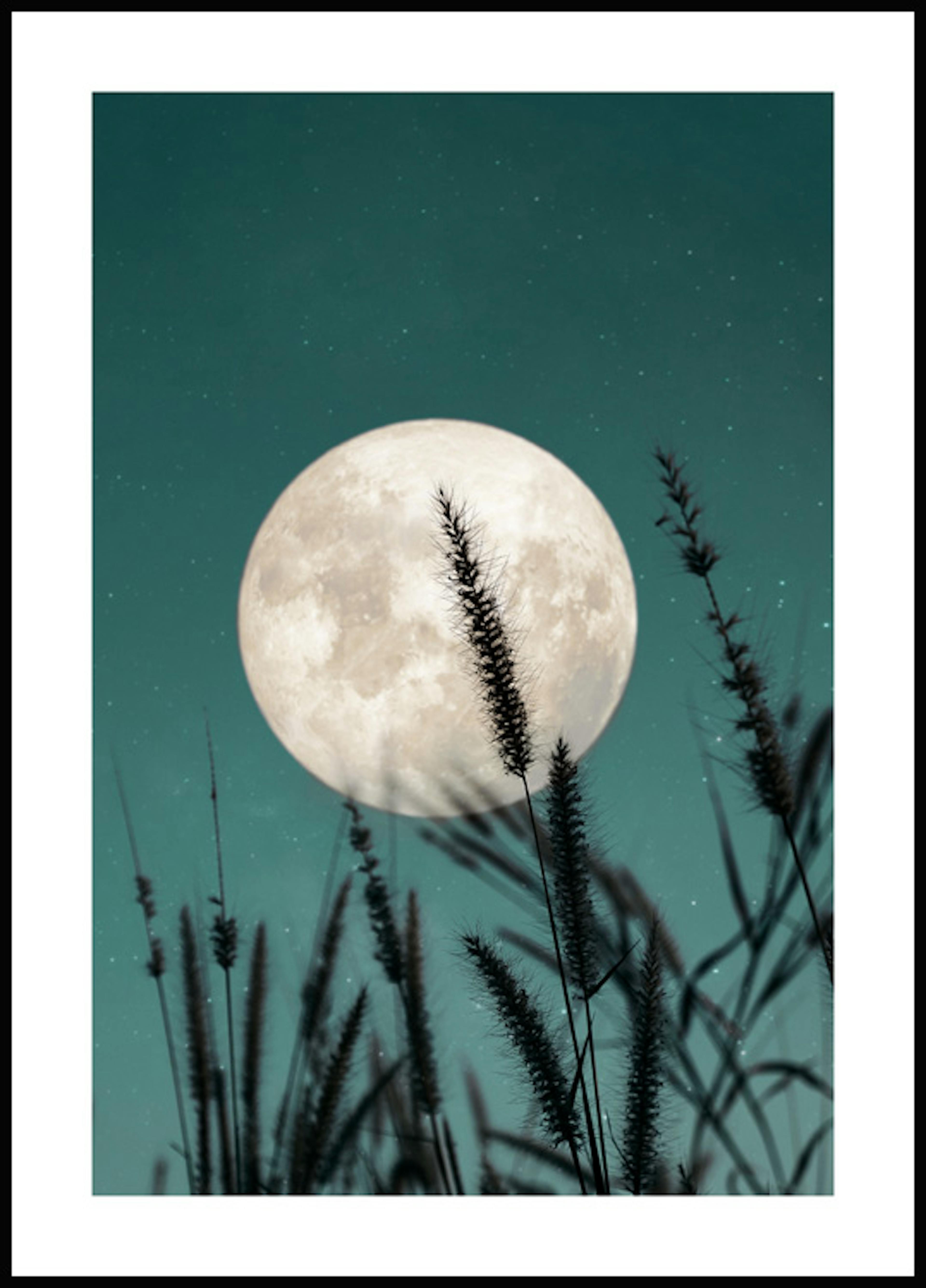 野草と満月のポスター 0