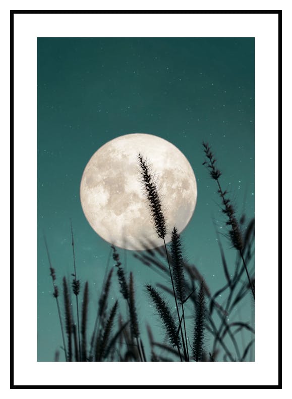 Plakat Pełnia Księżyca (50x70 cm) - Poster Store