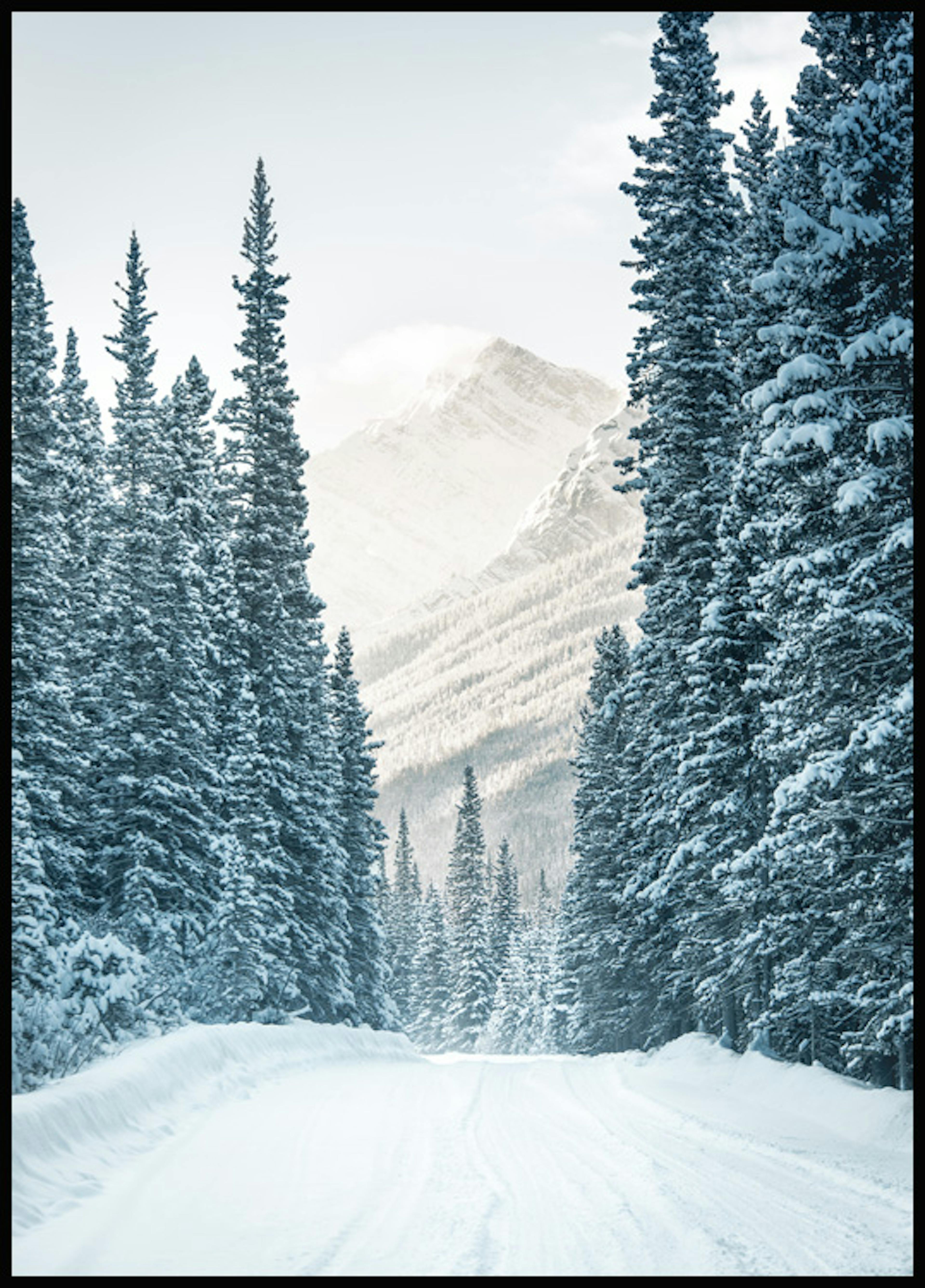 Winter Road Poster 0