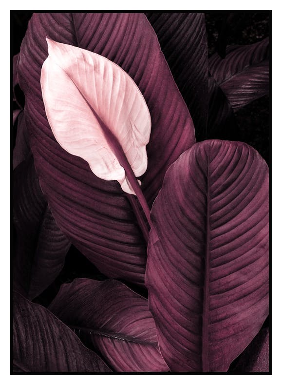 Lilla Blader No1 Poster (21x30 cm) - Poster Store
