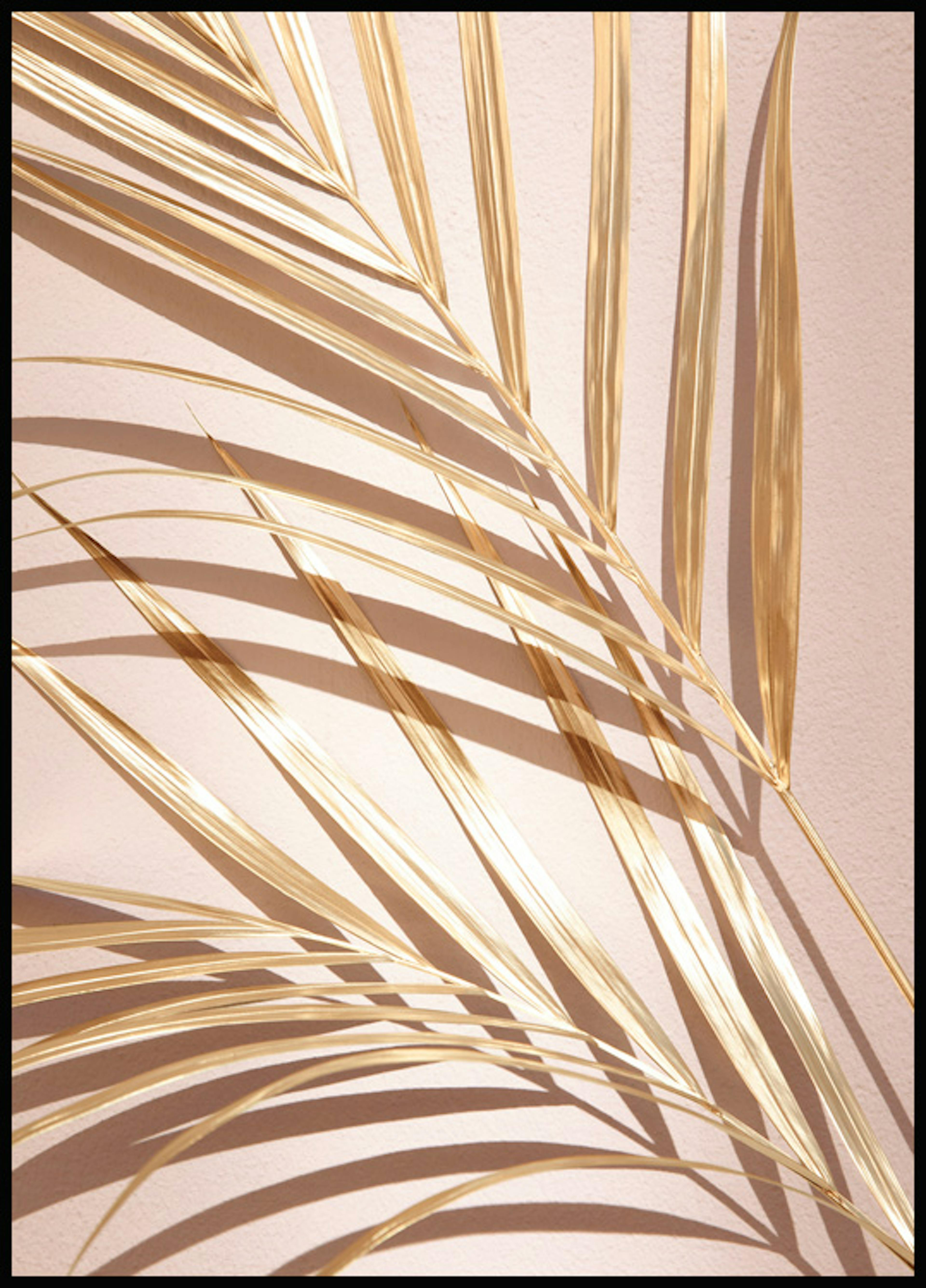 Golden Palm No1 Poster 0