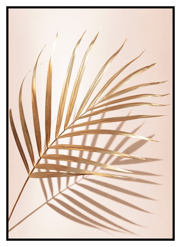 Guldpalm Nr2 Poster (30x40 cm) - Poster Store