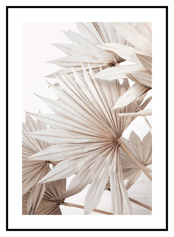 Beige Palm No1 Poster (50x70 cm) - Poster Store