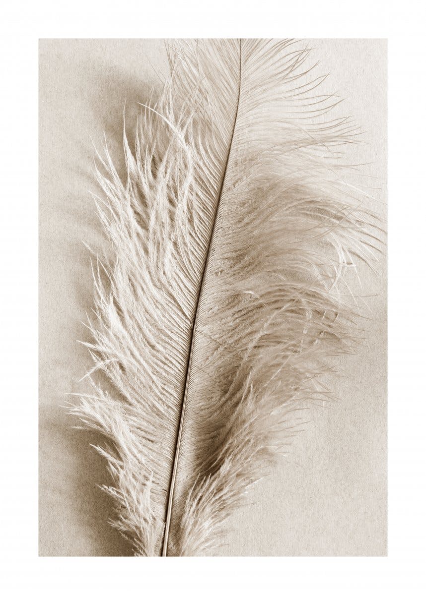 Soft Feather Poster 0