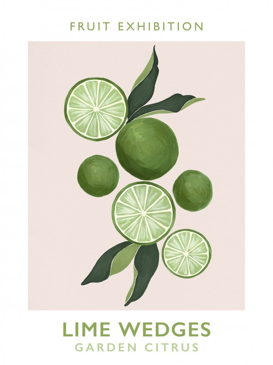 Lime Wedges Poster 0