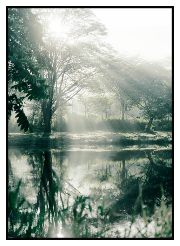 Sunbeams Reflection Poster (30x40 cm) - Poster Store