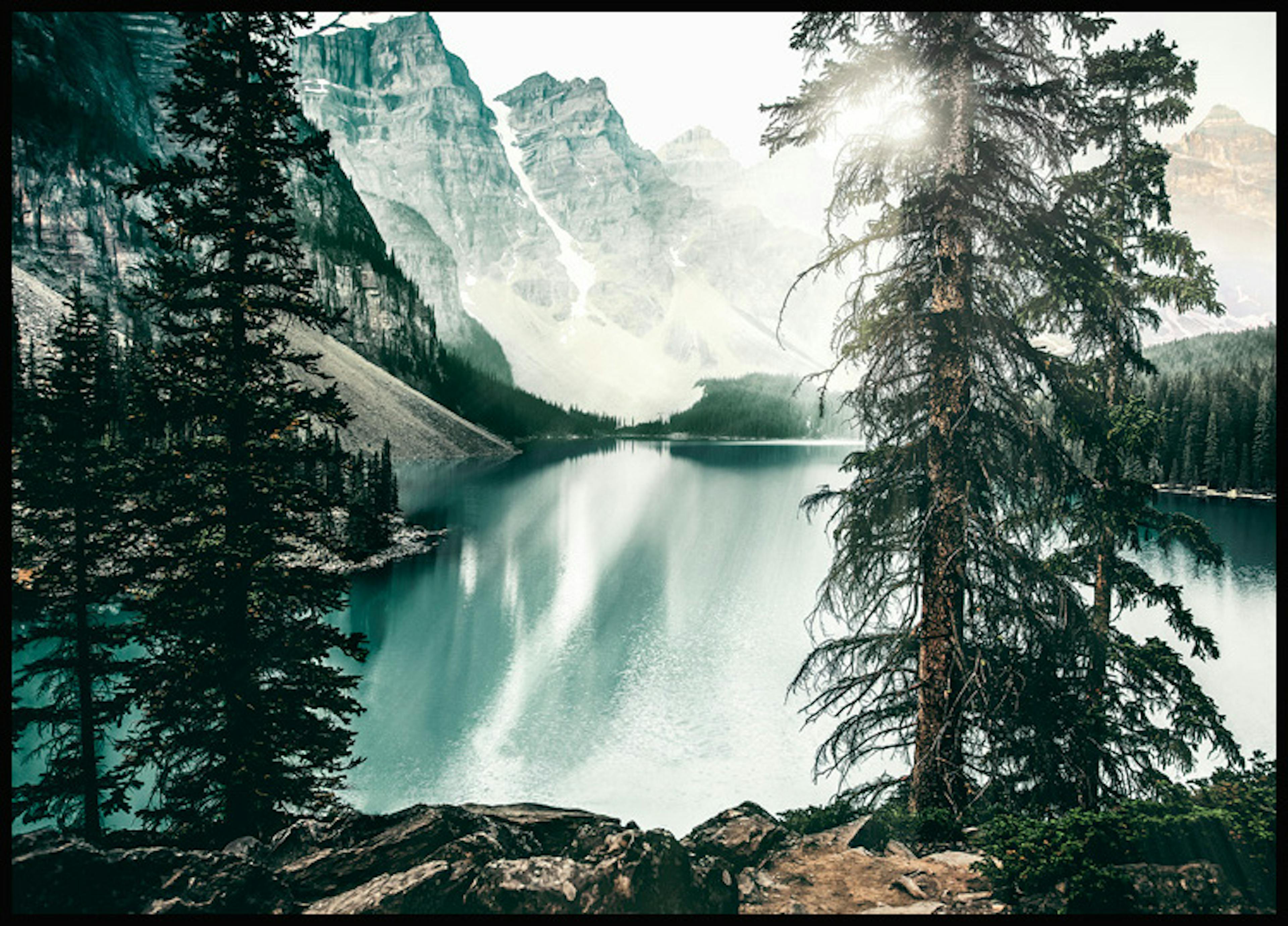 森の湖ポスター 0
