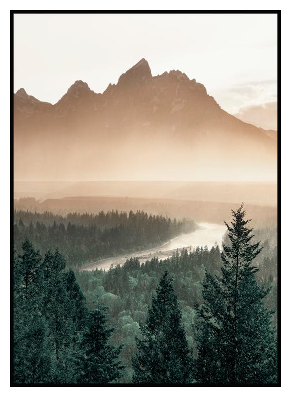 Tal aus Pinienbäumen Poster (30x40 cm) - Poster Store