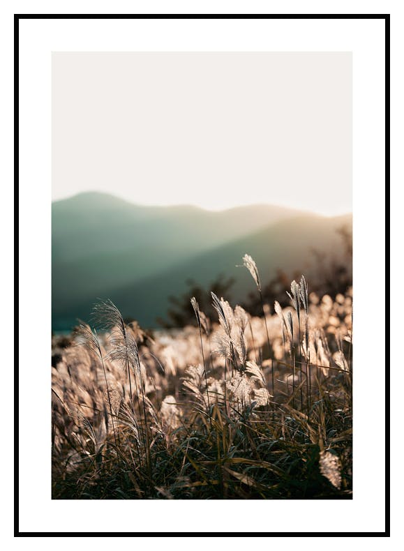 Plakat Poranek (21x30 cm) - Poster Store