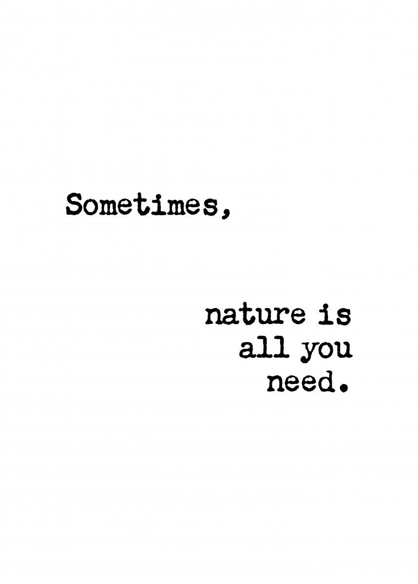 Nature is All You Need Juliste 0