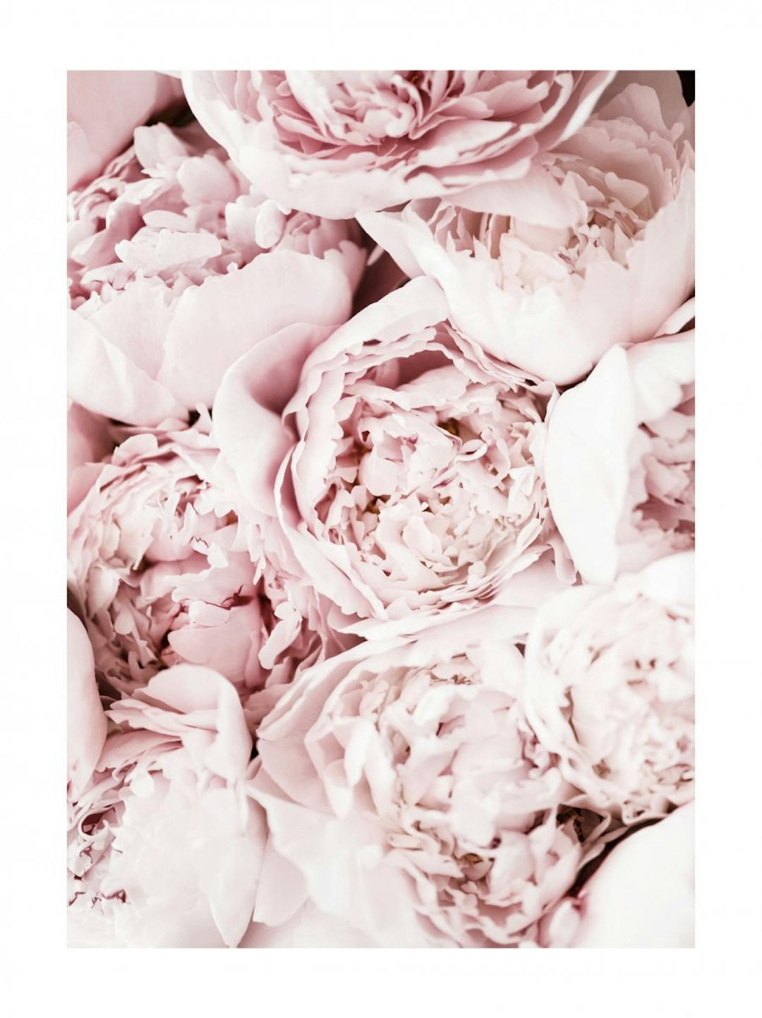 Monochrome and pink prints for the bedroom