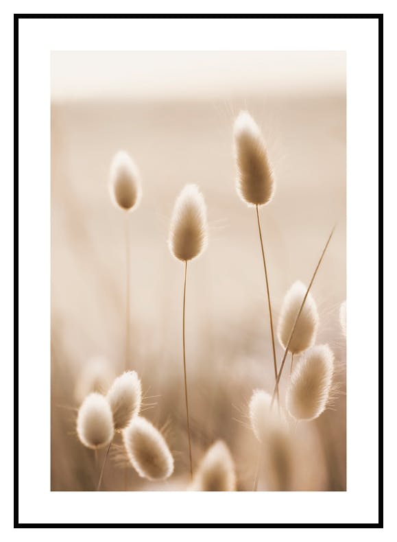 Gräs Poster (30x40 cm) - Poster Store