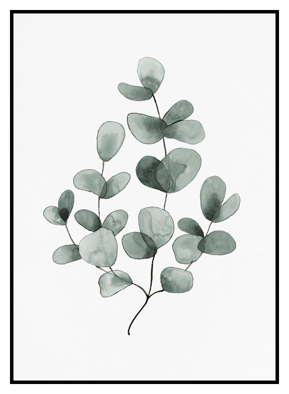 Eucalyptus No1 Poster (30x40 cm) - Poster Store