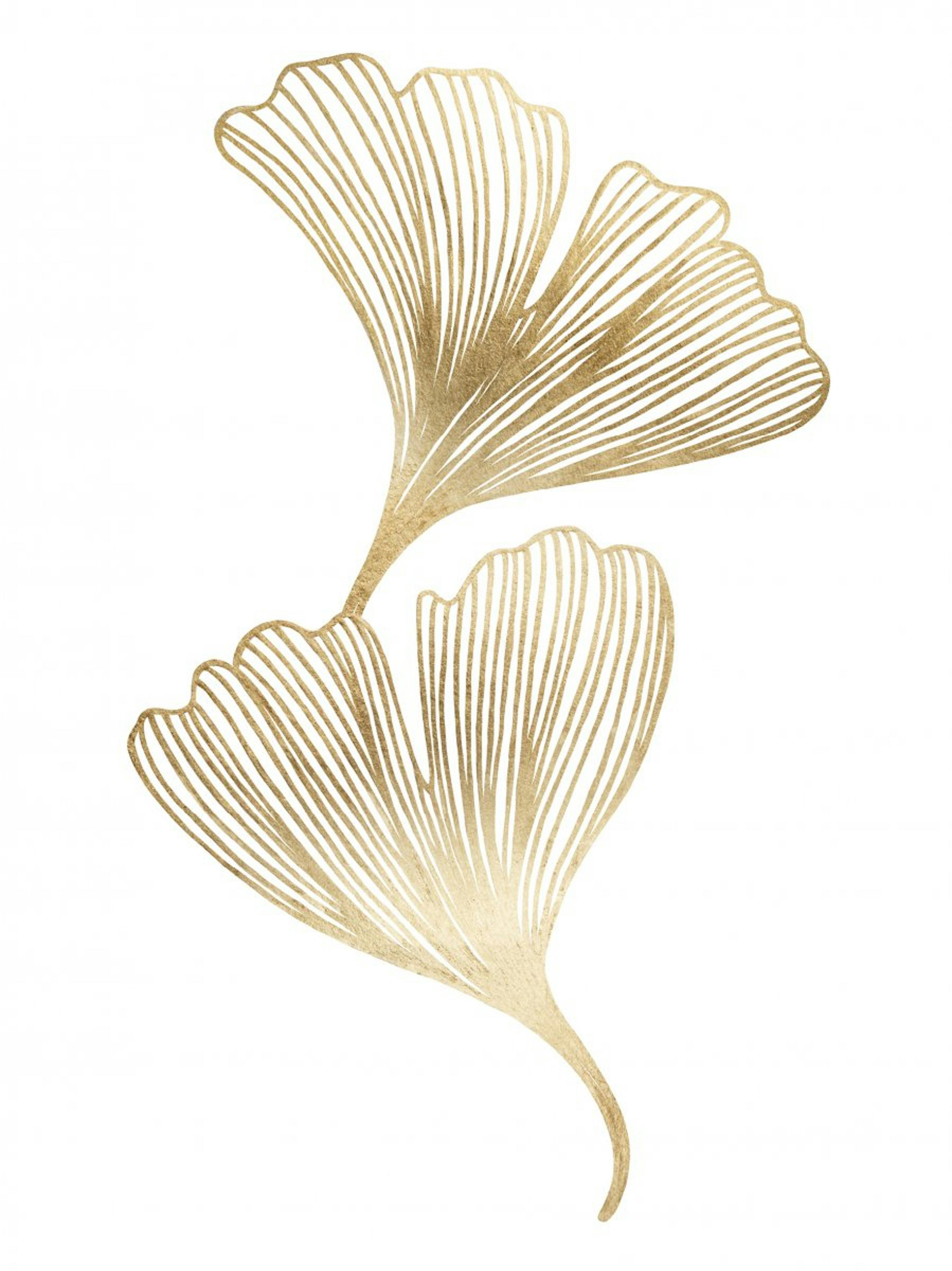 Gold Ginkgo Poster 0