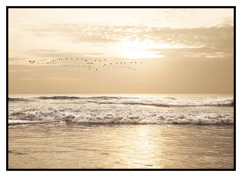 Golden Ocean Sunset Poster (50x70 cm) - Poster Store