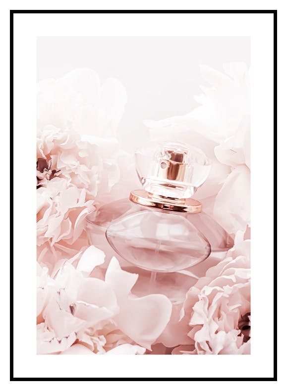 Rosa Doft Poster (21x30 cm) - Poster Store