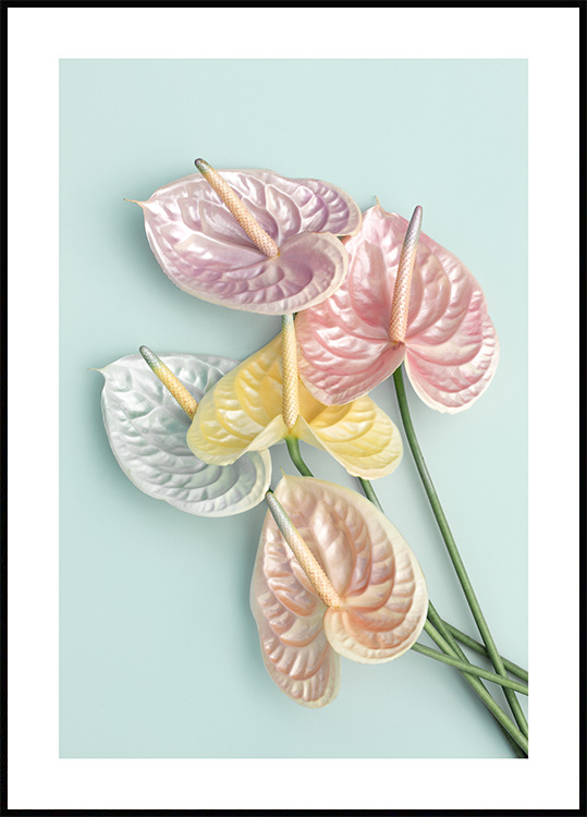 Schimmernde - schimmernde Blumen Blumen Poster