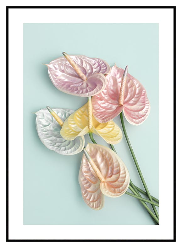Skimrande Blommor Poster (30x40 cm) - Poster Store