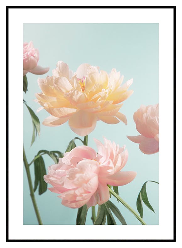 Pastel Flowers Affiche (21x30 cm) - Poster Store