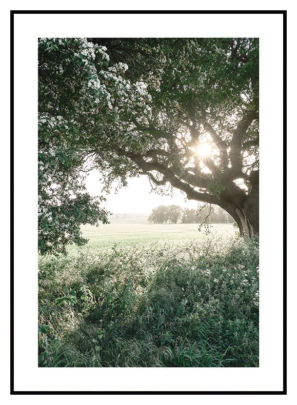 Ländliches Feld Poster (30x40 cm) - Poster Store