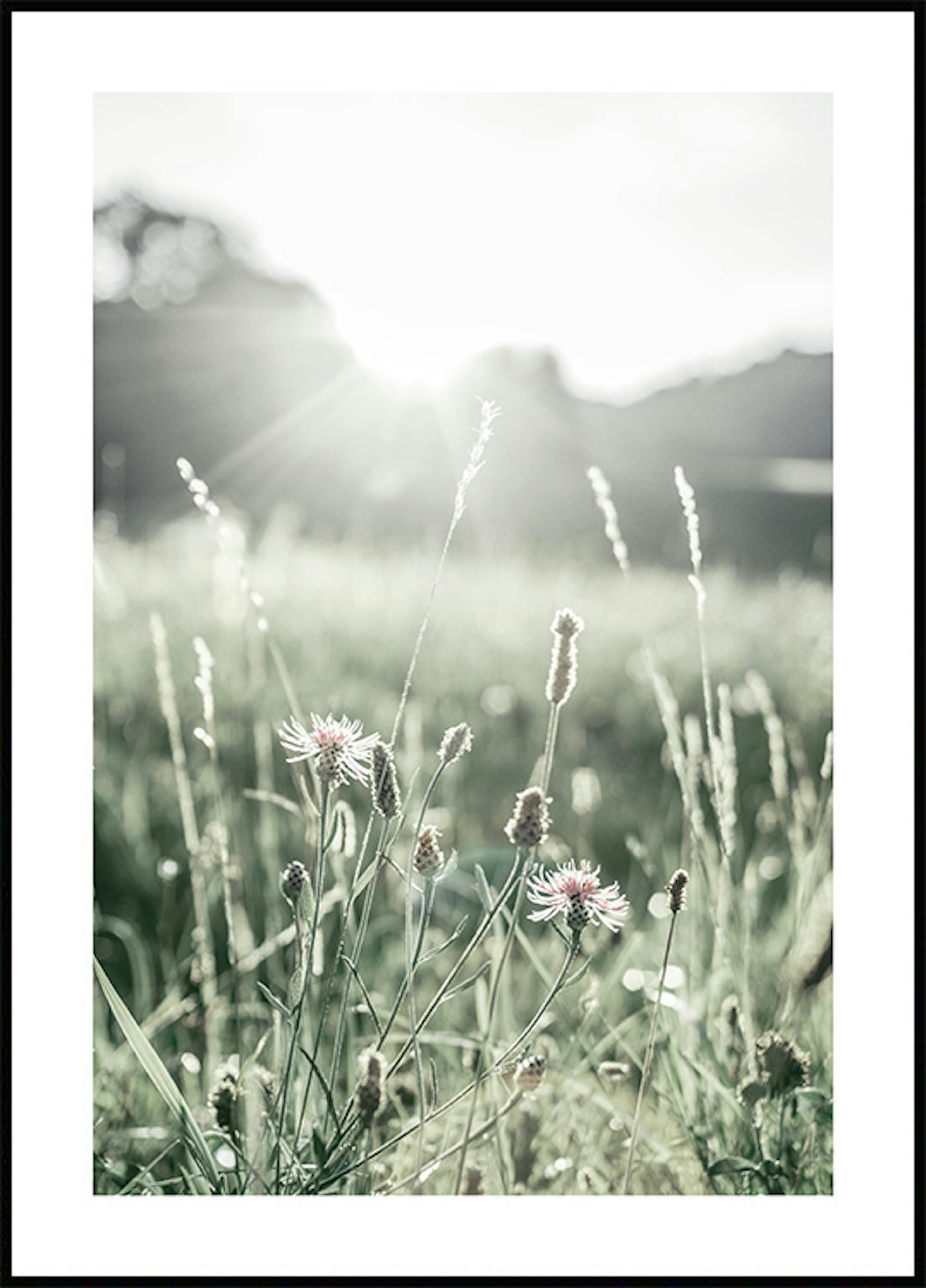 夏の草原ポスター 0