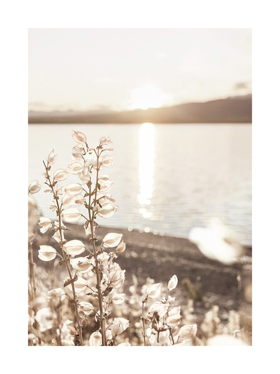 Nap a nyári tó felett poszter 0