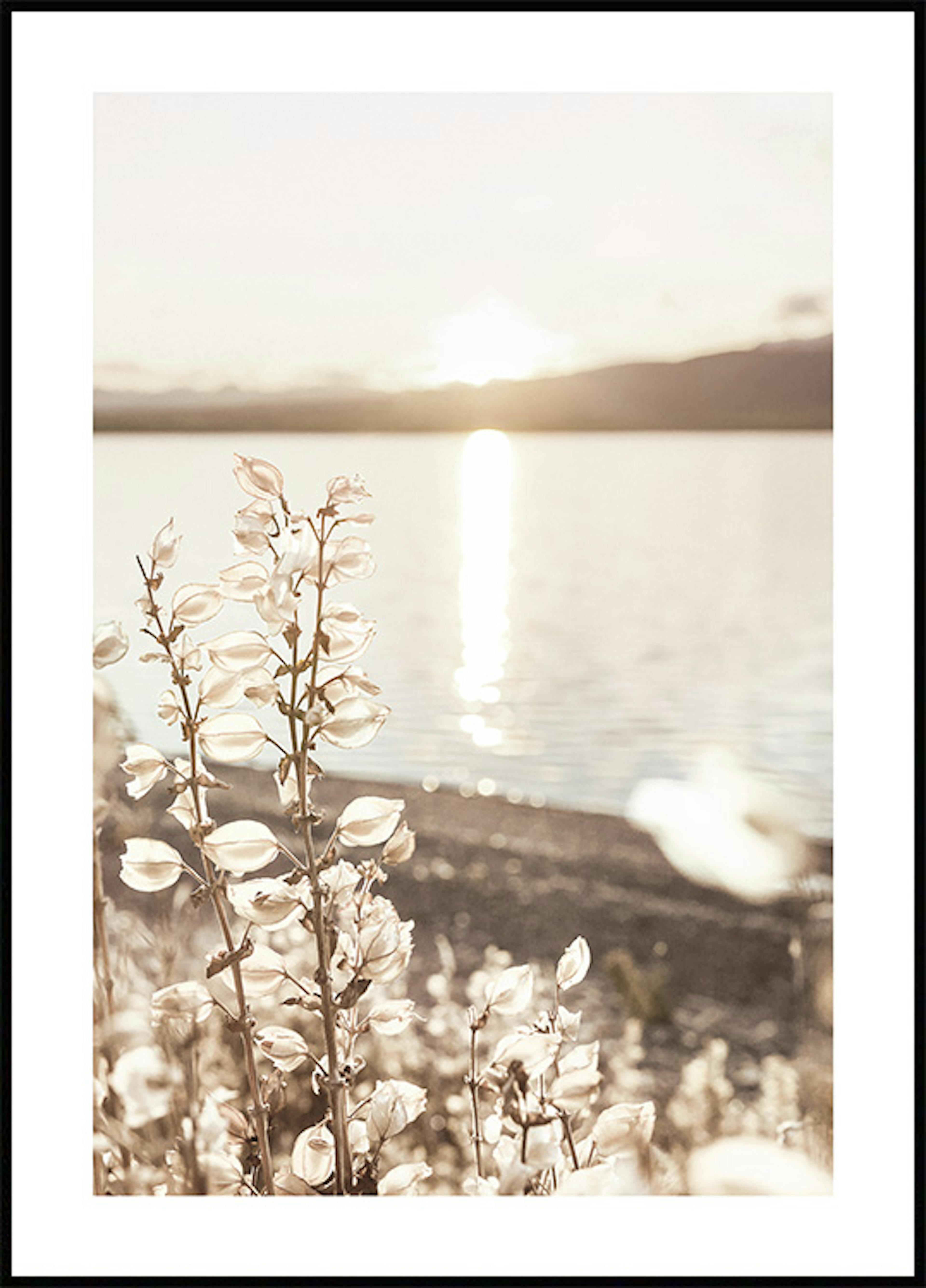 Cu reflexia soarelui vara pe lac Poster 0