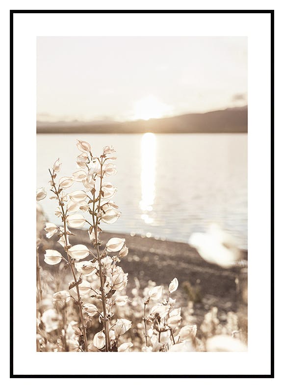 Sol Over Sommerinnsjø Poster (21x30 cm) - Poster Store
