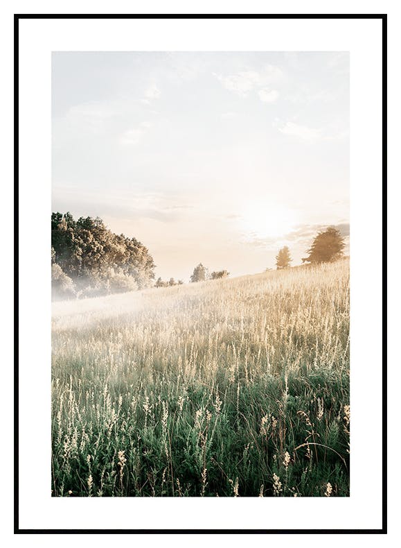 Zamglona Łąka Plakat (30x40 cm) - Poster Store