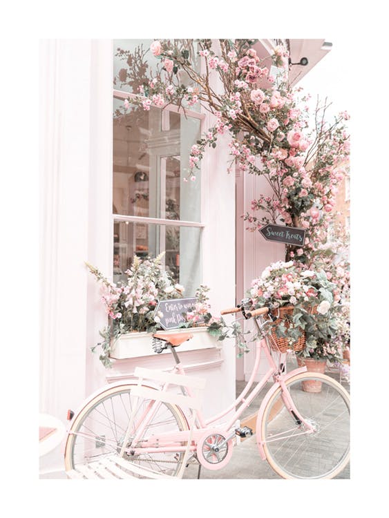 Pink Bicycle Poster 0