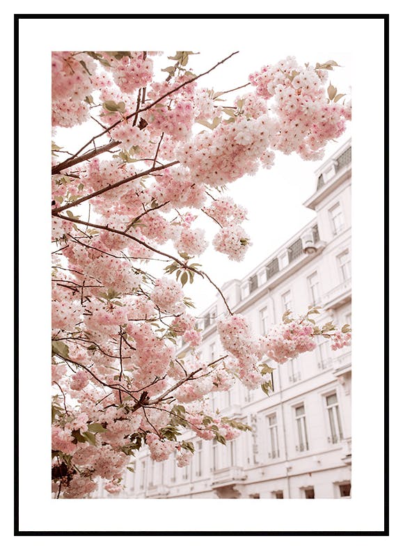 Prints Cherry Branches Poster (50x70 cm) - Poster Store