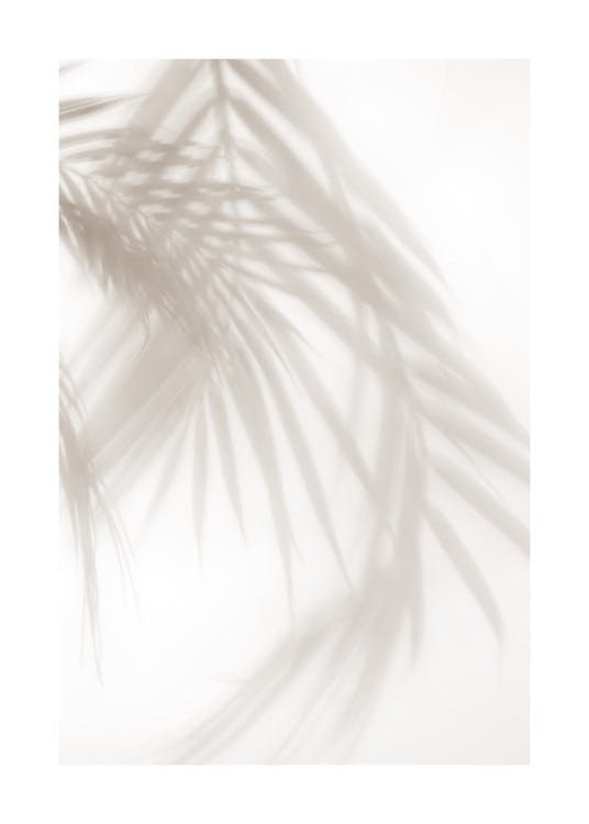 Sombra de hojas de Palmera Póster 0