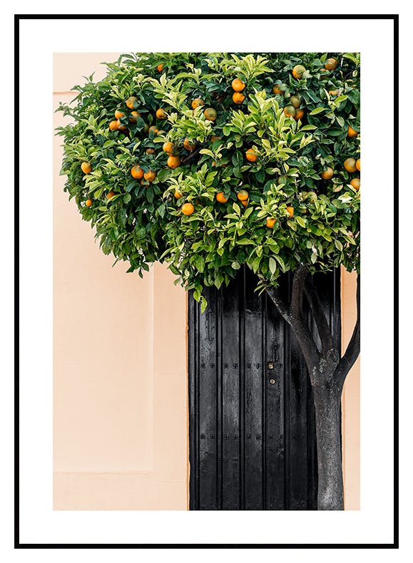 Citrusboom Poster (50x70 cm) - Poster Store