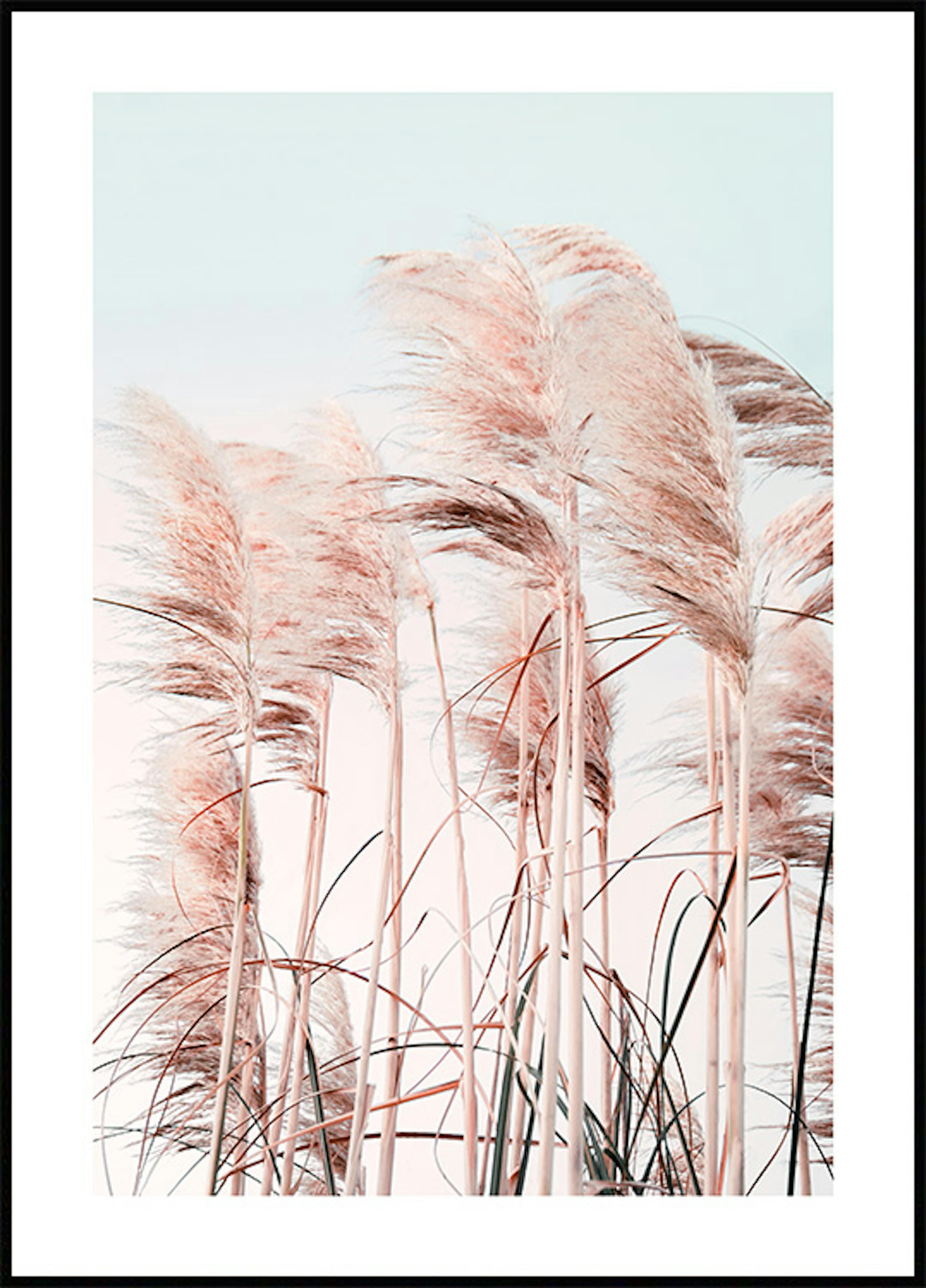 Pink Beach Grass Poster 0