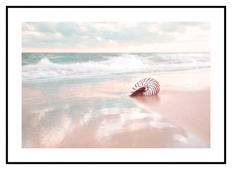 Muschel am Strand Poster (30x40 cm) - Poster Store