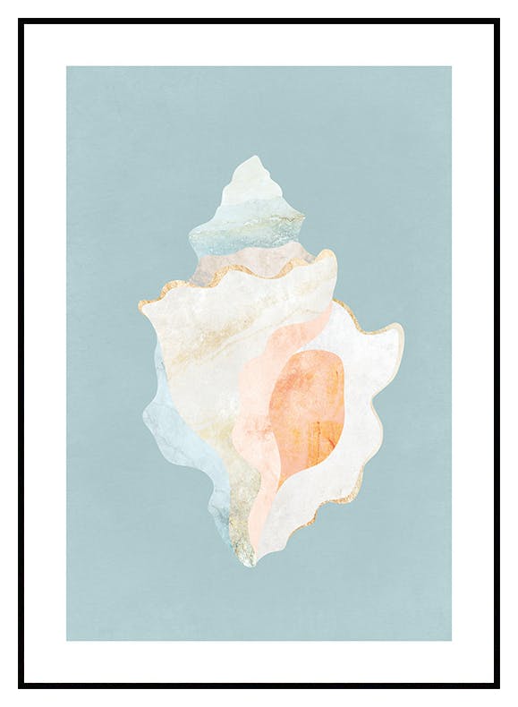 Grafische Muschel Poster (50x70 cm) - Poster Store