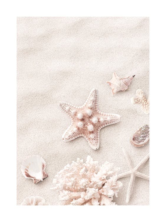 Pink Starfish Poster 0