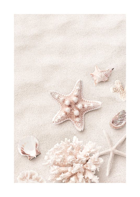 Pink Starfish Poster 0