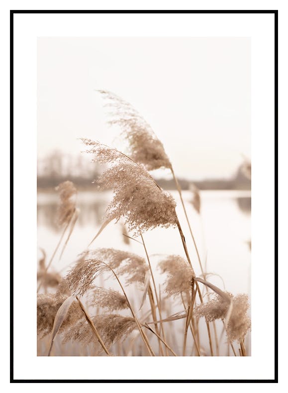 Wysuszona Trawa Plakat (21x30 cm) - Poster Store