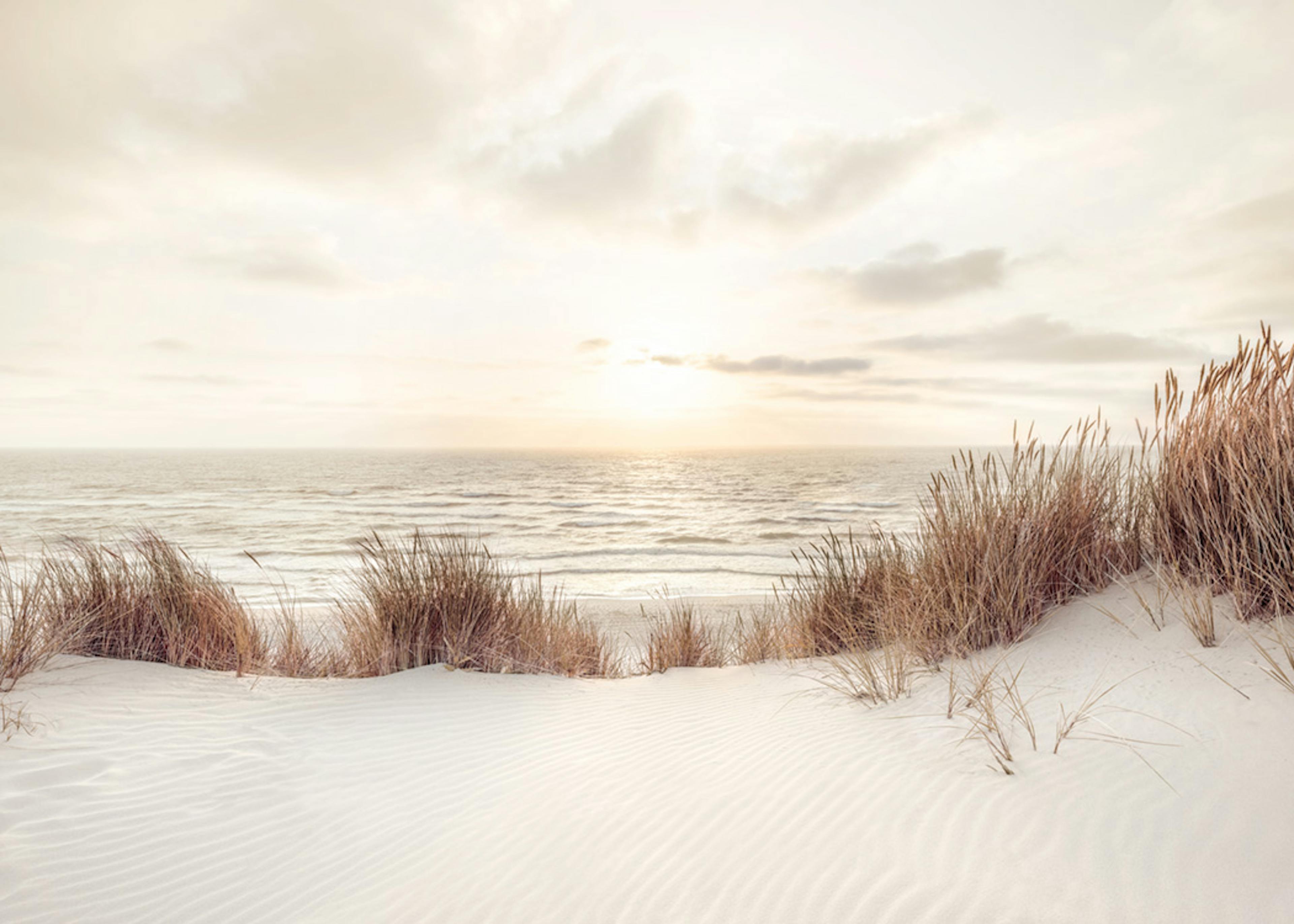 Sunset at Dune Beach Poster 0