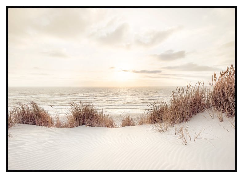 Sunset at Dune Beach Poster (30x40 cm) - Poster Store