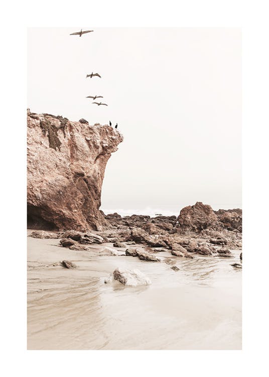 Uccelli sulla costa Poster 0