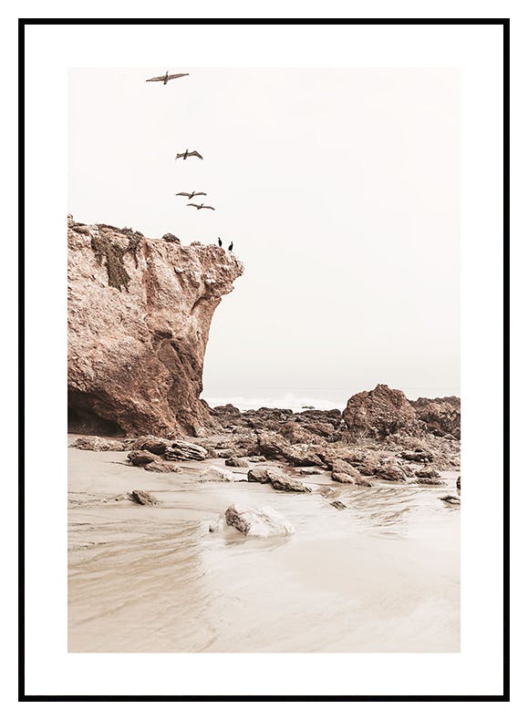 Fugle på Kysten Plakat (30x40 cm) - Poster Store