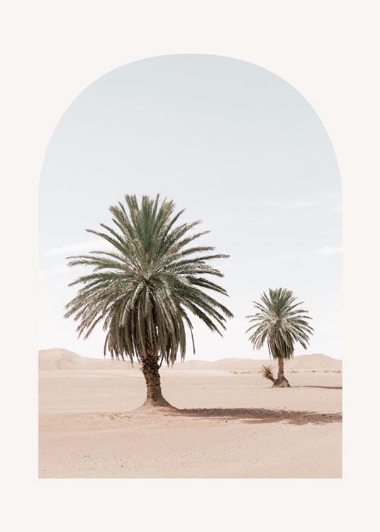 Palmieri în deșert Poster 0