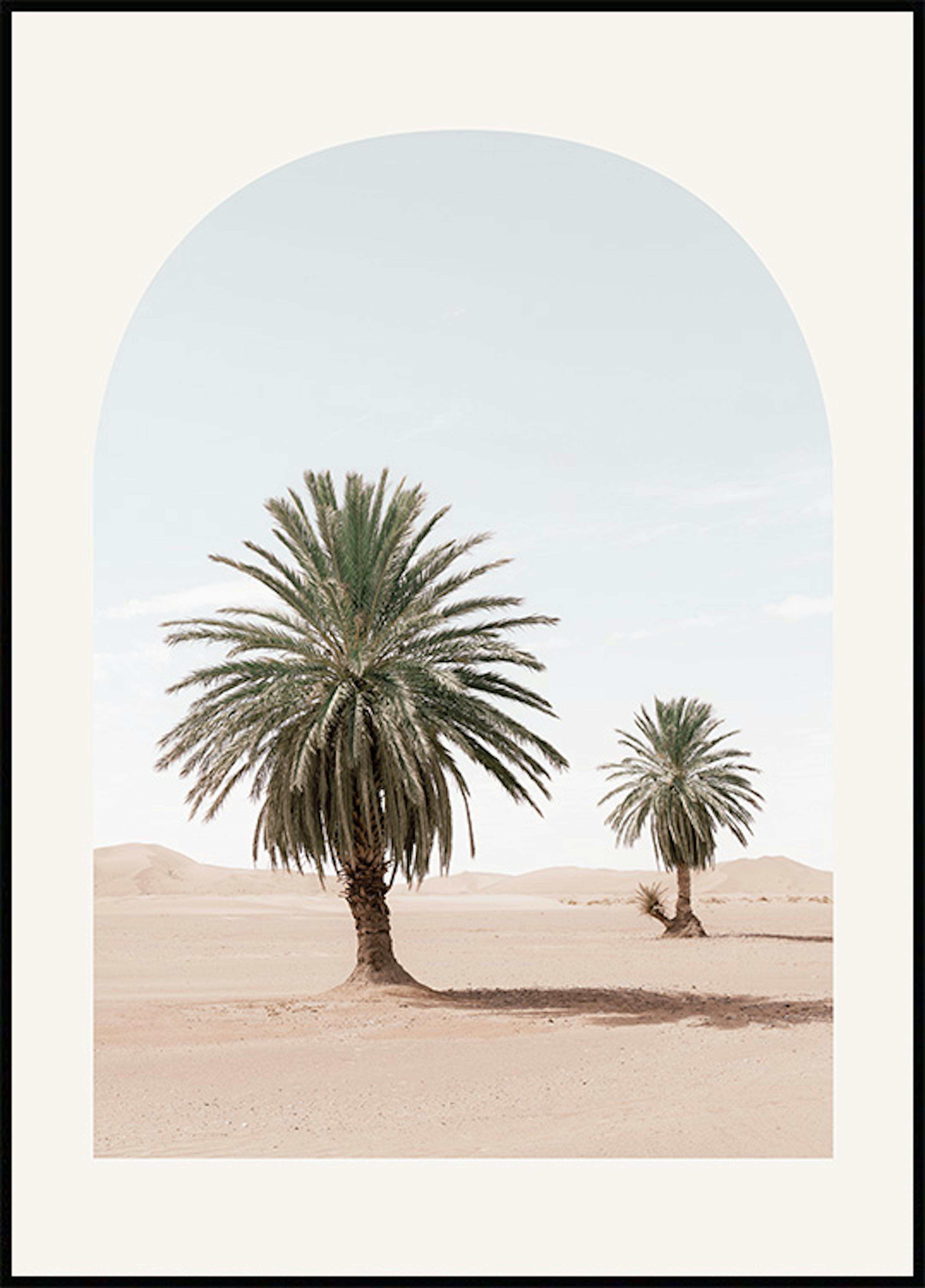 사막의 야자수 포스터 0